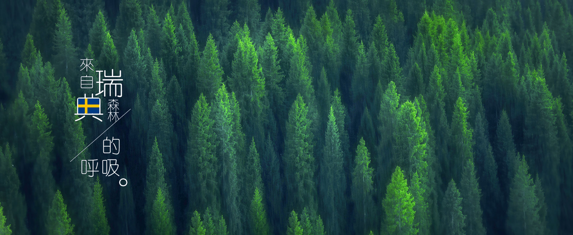 新風(fēng)系統(tǒng)與空調(diào)自帶新風(fēng)差別有多大？